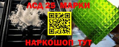 стафф Гусев