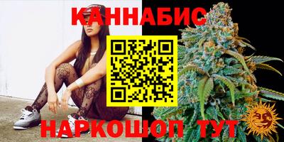 стафф Гусев