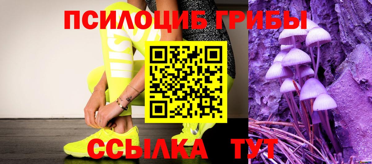 Кашира  Галлюциногенные грибы Magic Shrooms  Вход с VPN  Псилоцибиновые грибы GOLDEN TEACHER 