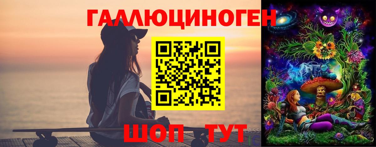 Галлюциногенные грибы Psilocybe Кашира